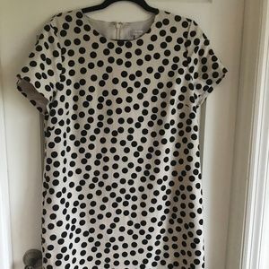 J. Crew Shift Dress Sz 12 Khaki Black Dots
